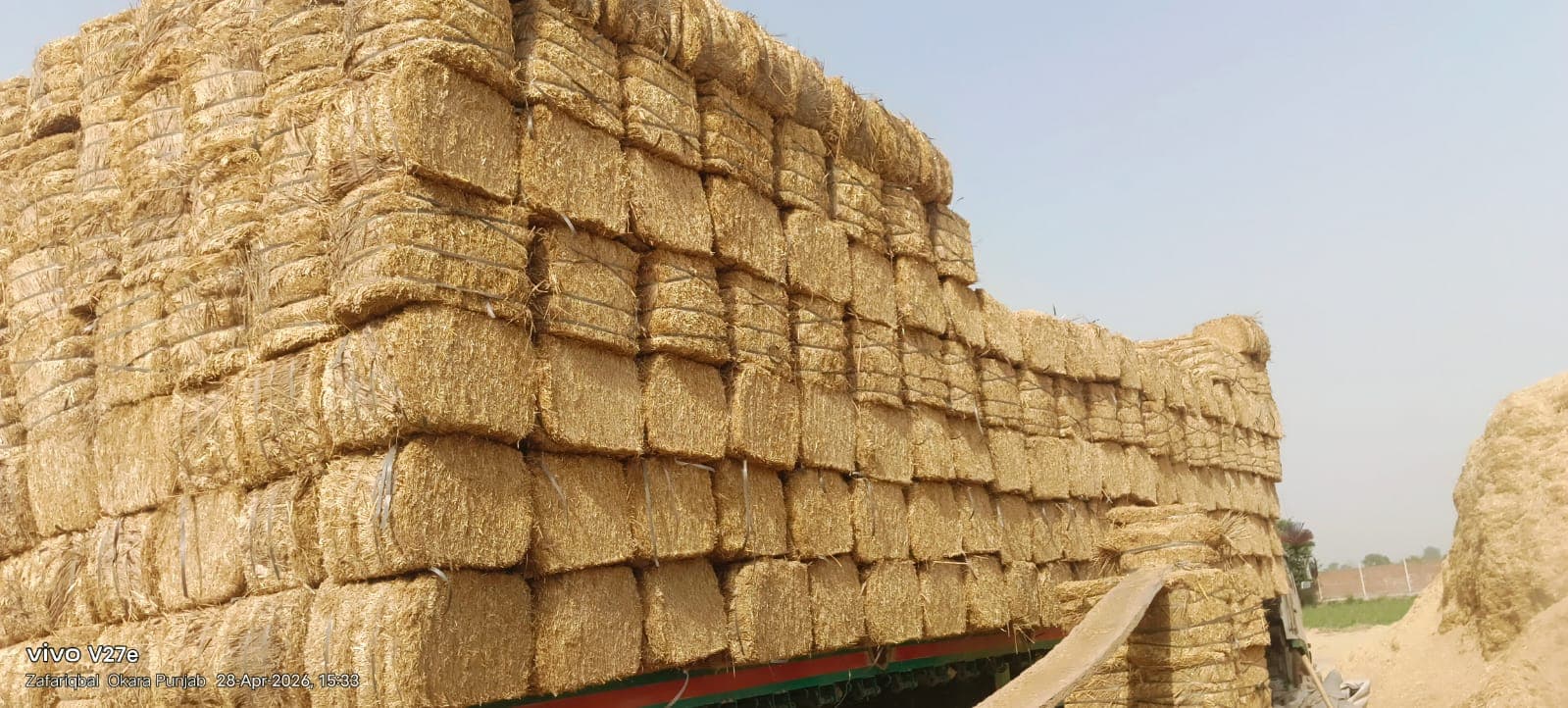 Wheat Straw Image 5