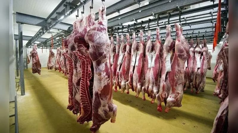 Meat & Poultry