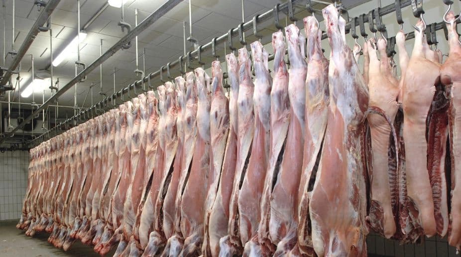 Premium Halal Mutton
