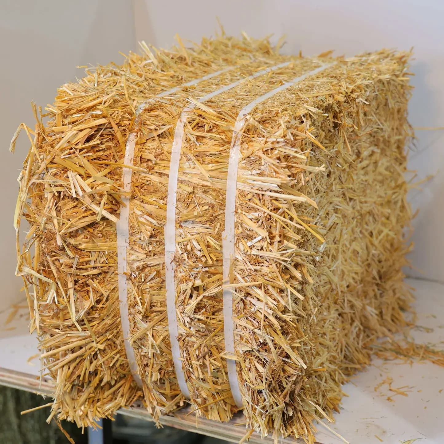 Wheat Straw