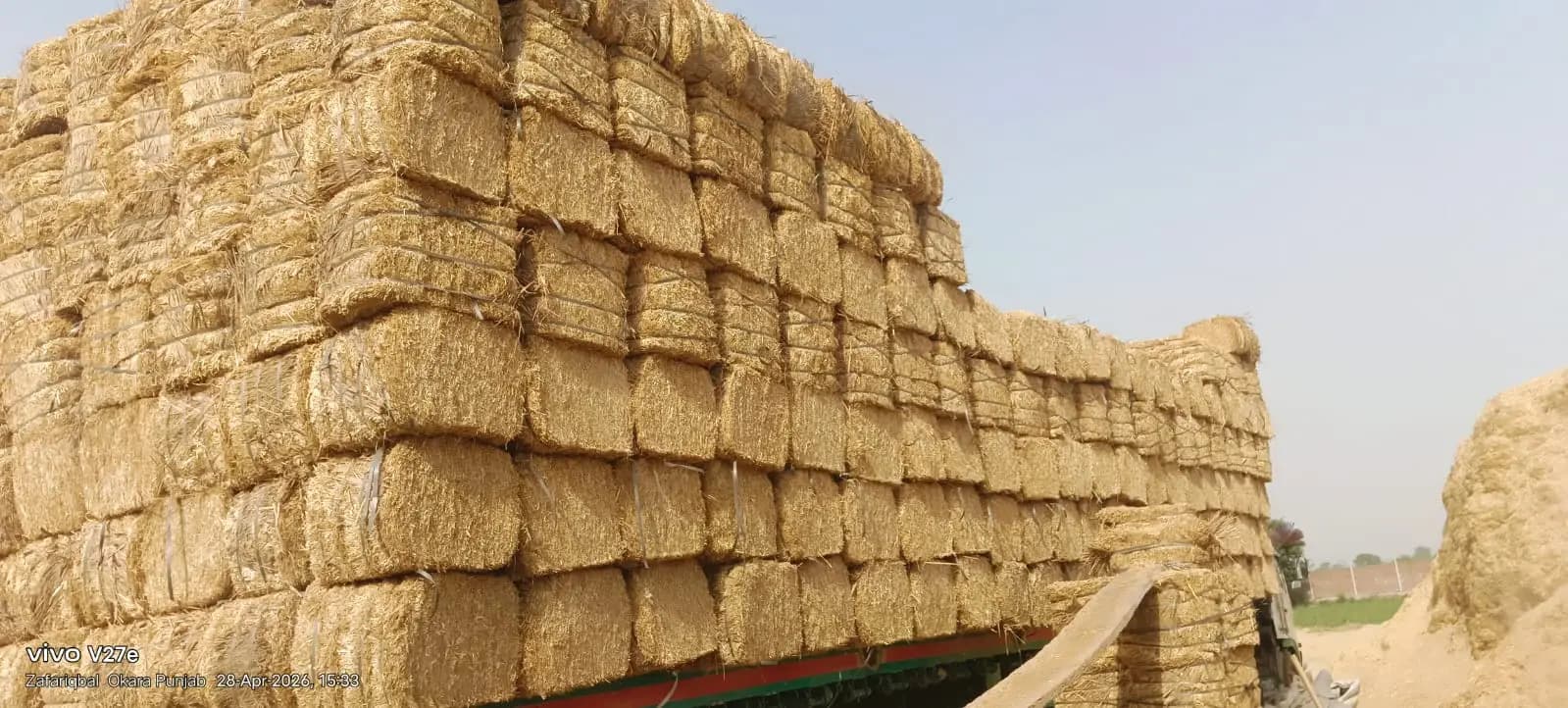 Wheat Straw Image 3