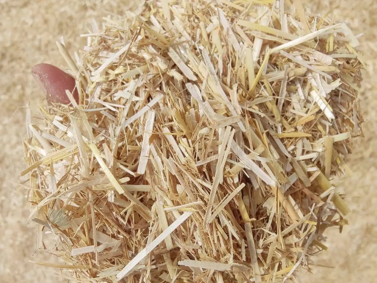 Wheat Straw Image 4