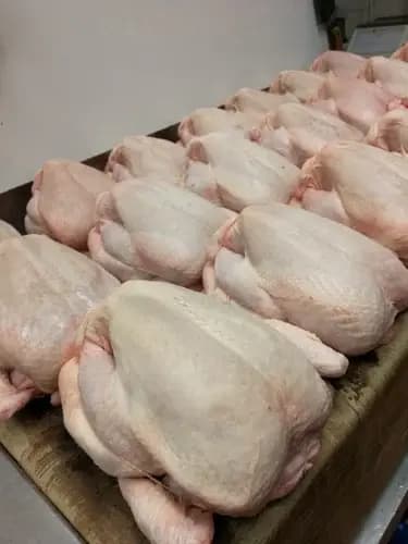 Halal Poultry & Chicken