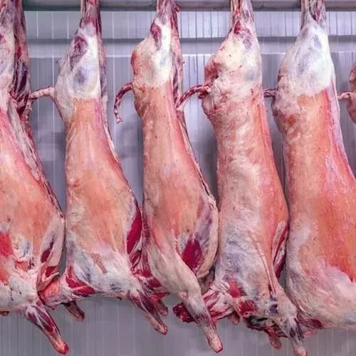 Premium Halal Mutton