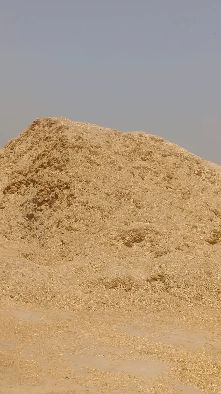 Peanut Straw Image 3