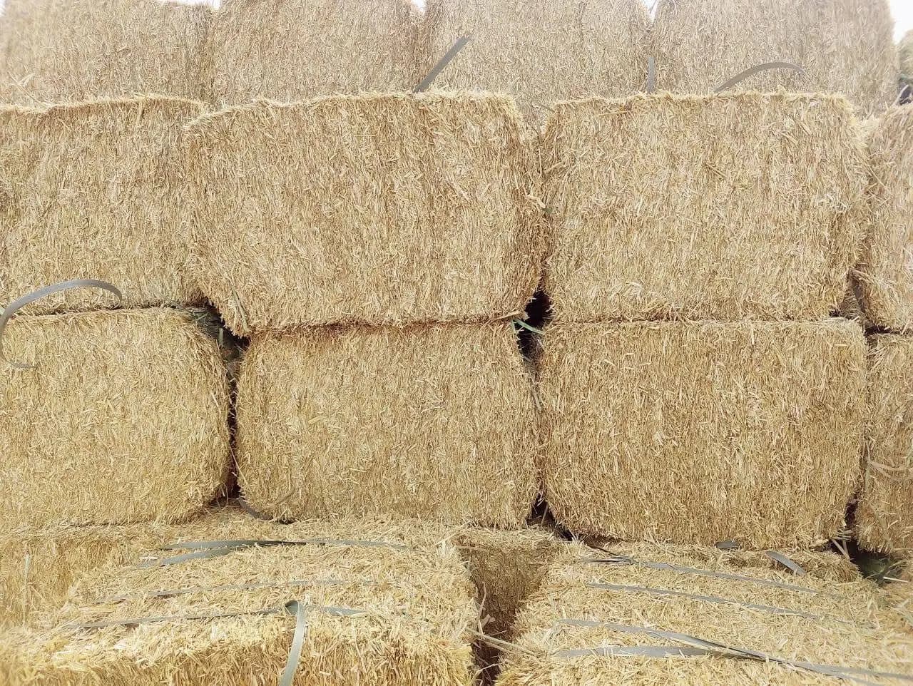 Wheat Straw Image 2