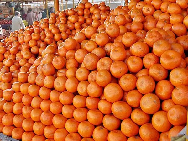 Kinnow Mandarin