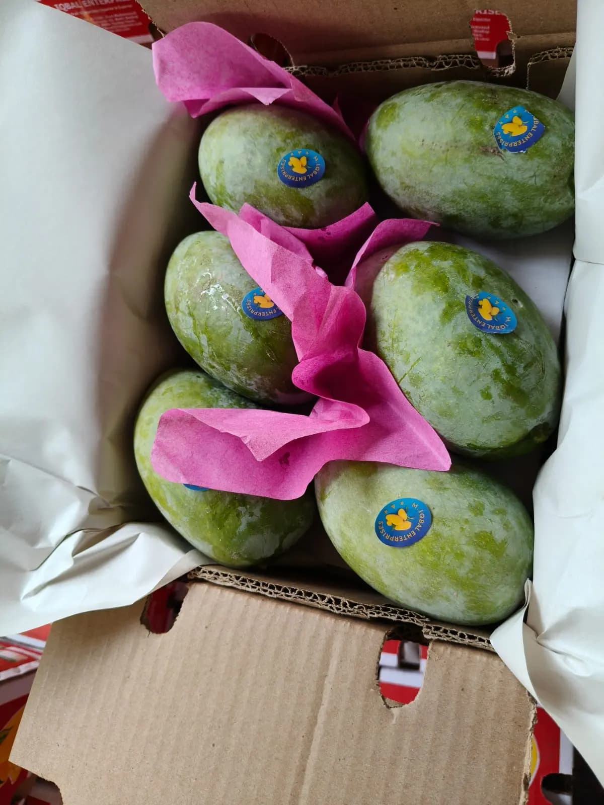 Chaunsa Mango Image 5