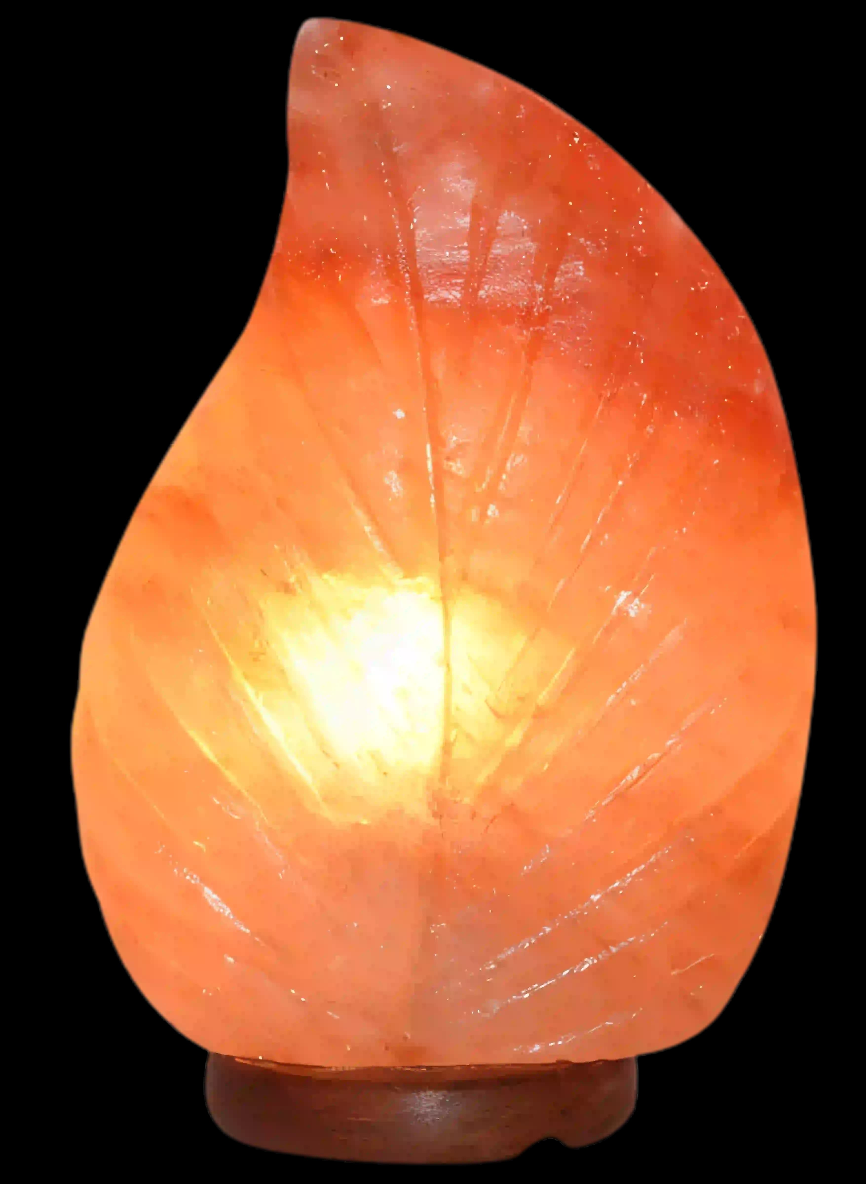 Leaf Shape Lamp