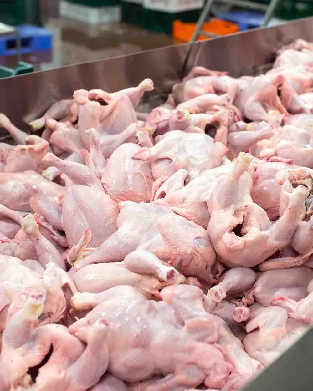 Halal Poultry & Chicken